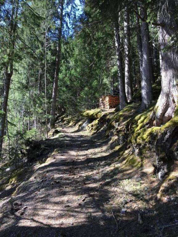 foto21