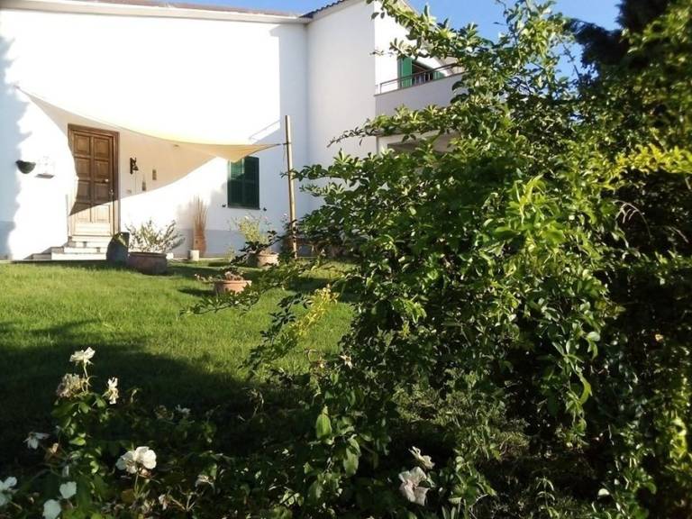 foto16