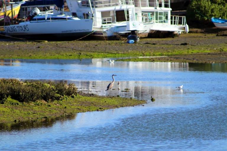 Casa rural Moncarapacho