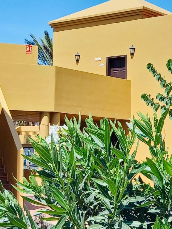 Apartamento  Corralejo