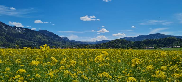 Ferienwohnung Marquartstein
