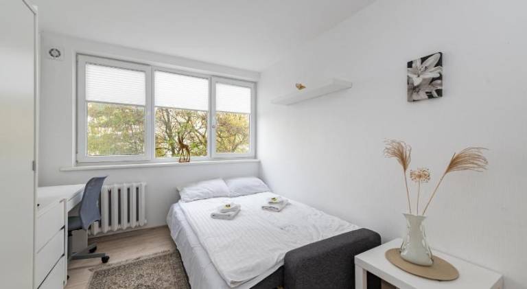 Rental apartment | Pets allowed in Kaunas