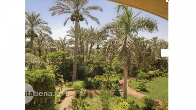 Villa  Al Faiyum Governorate Desert