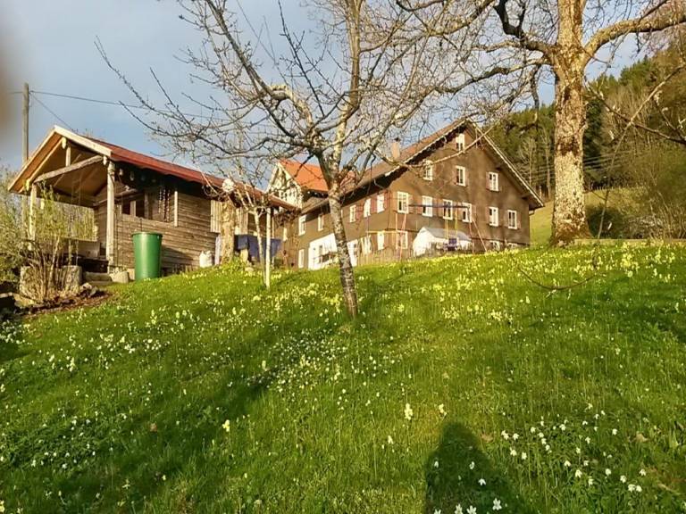 foto16