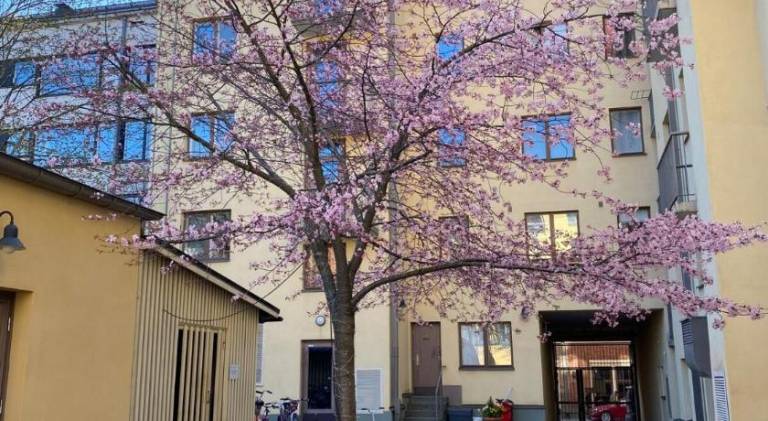Rental apartment with 1 room for 3 persons — photo 3