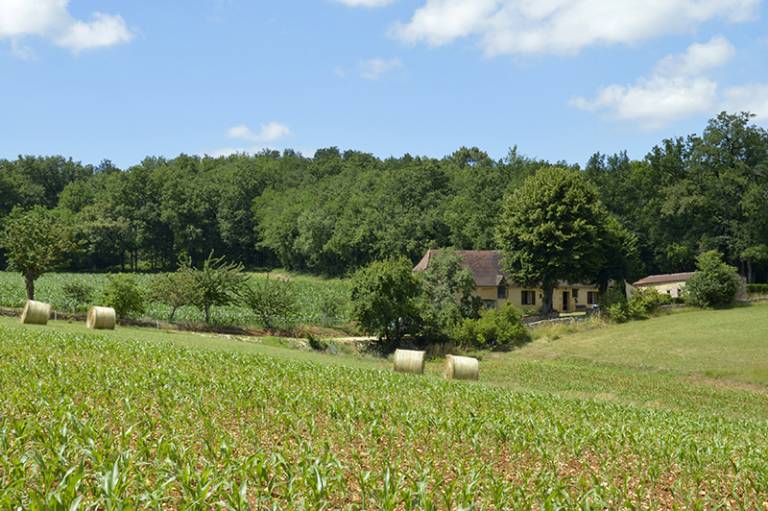 Ferienhaus in Pezuls, Sainte-Foy-de-Longas f&uuml;r max. 5 Personen am Atlantik