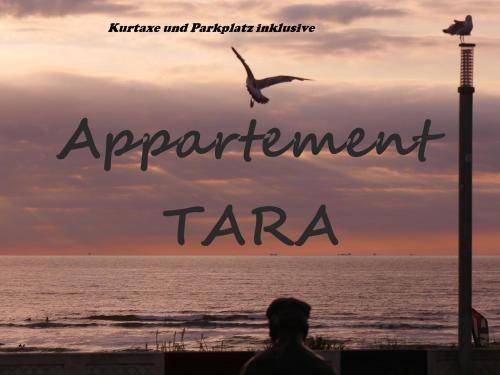 Apartment Zandvoort