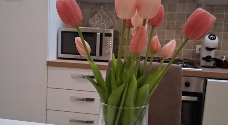 foto21
