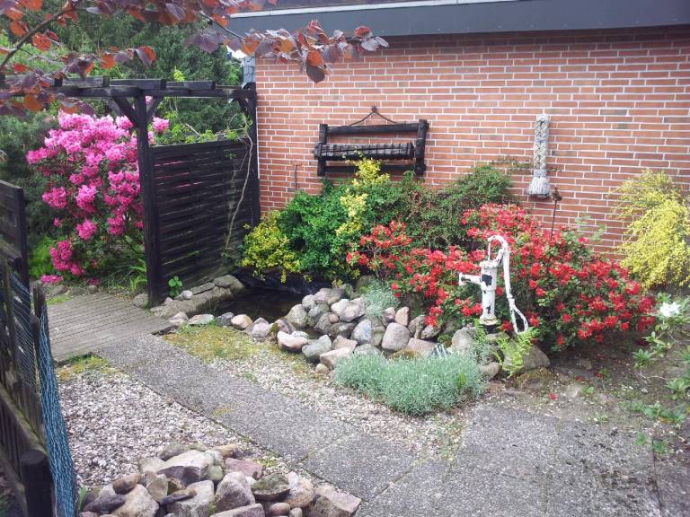 foto20