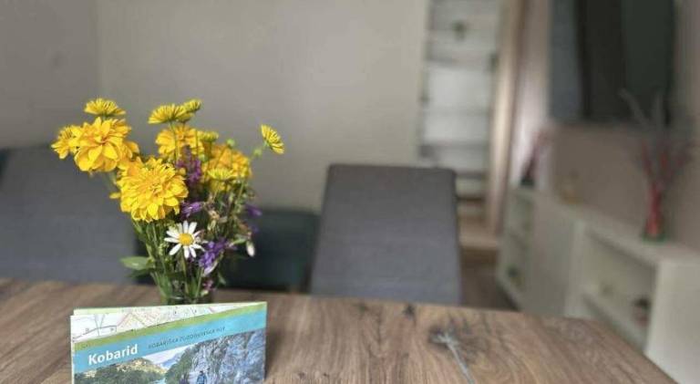 Apartment | Pet-friendly in Kobarid