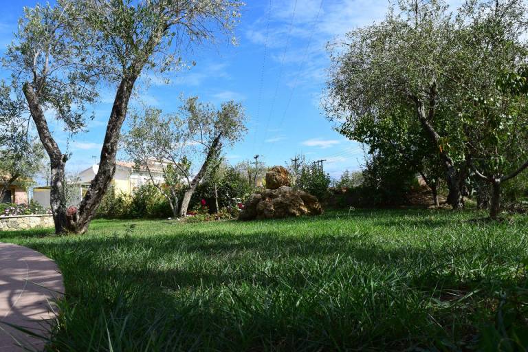 foto5