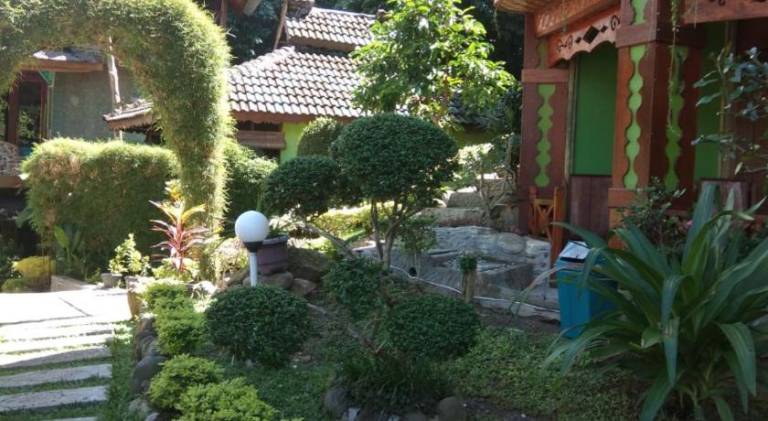 foto39