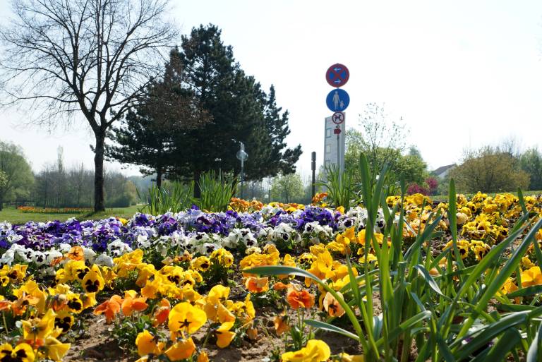 foto19