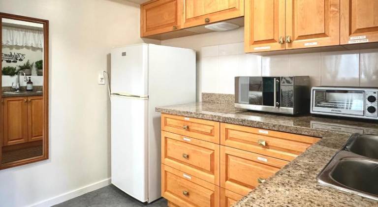 2BR 1BA Garden View Guest Suite - King-size Bed - Free Parking — photo 4