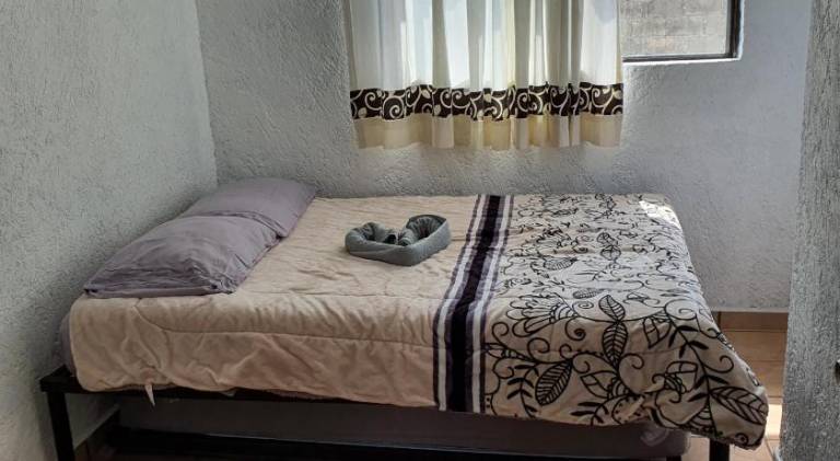 foto45