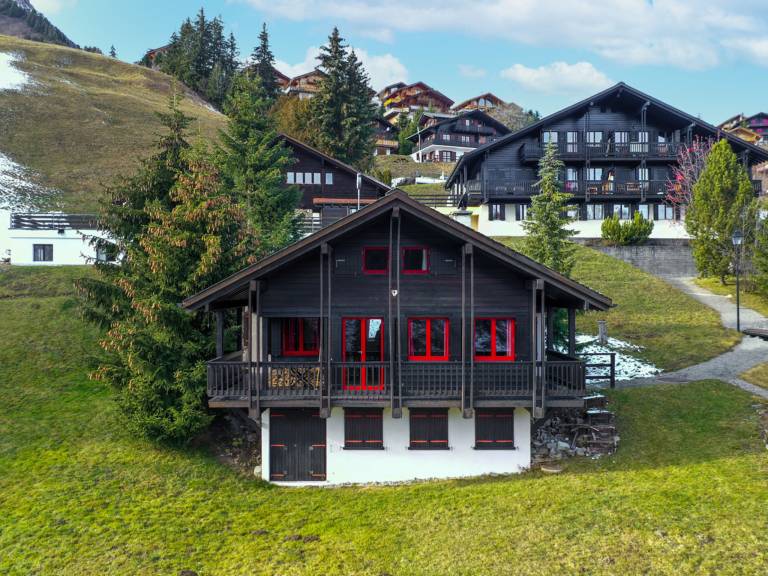 Ferienhaus  Portes du Soleil