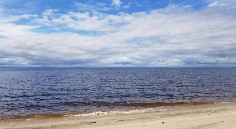 Le Caribou - Petit chalet rustique pres de la plage — photo 5