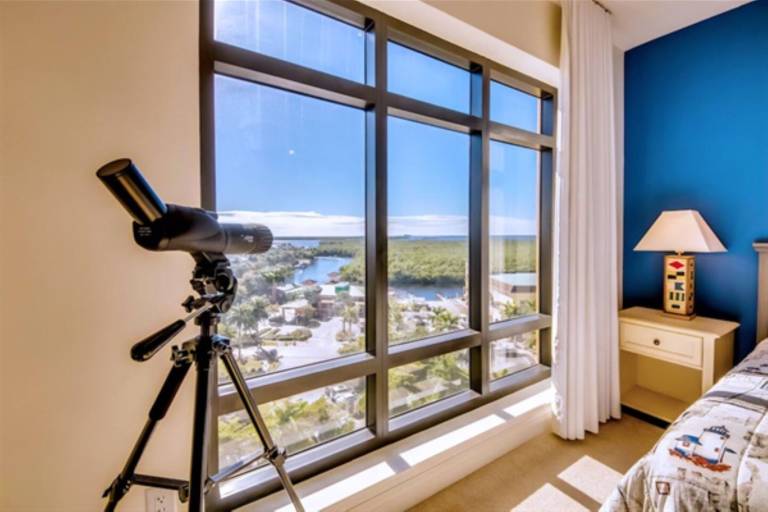 Condo Pelican