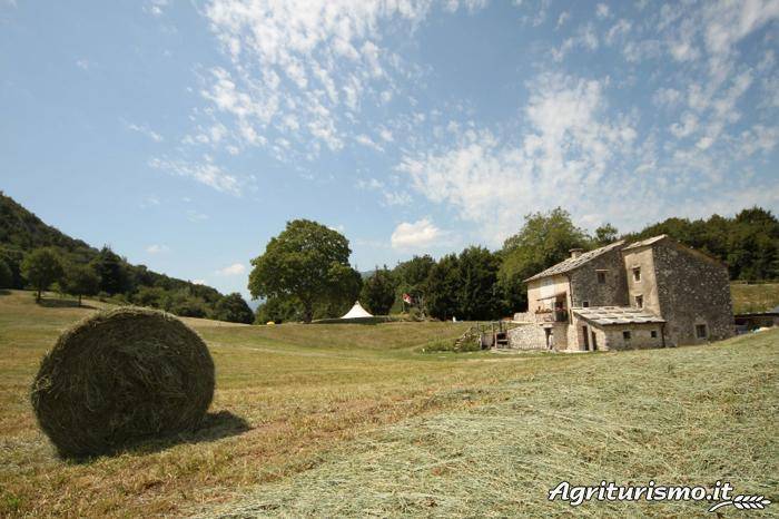 Malga Riondera, agriturismo e azienda agricola, colazione su richiesta: Camera matrimoniale — photo 5