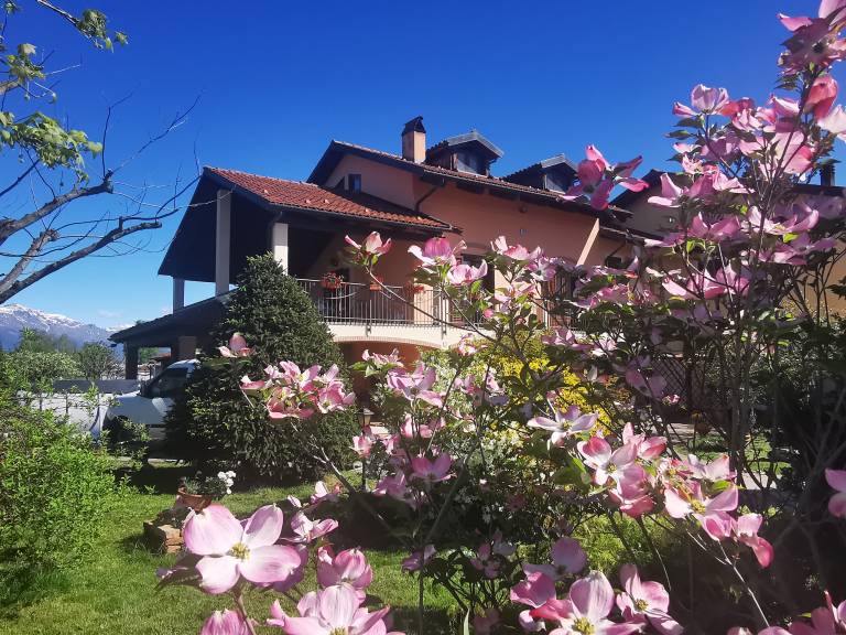 foto17