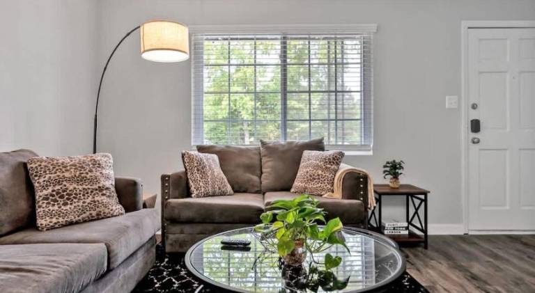 Holiday apartment | Pets are welcome — photo 2