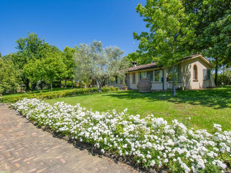House with private pool, barbecue & yard — photo 4