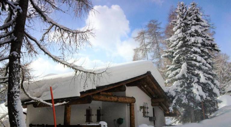 Holiday apartment with 3 rooms for 7 persons in Davos