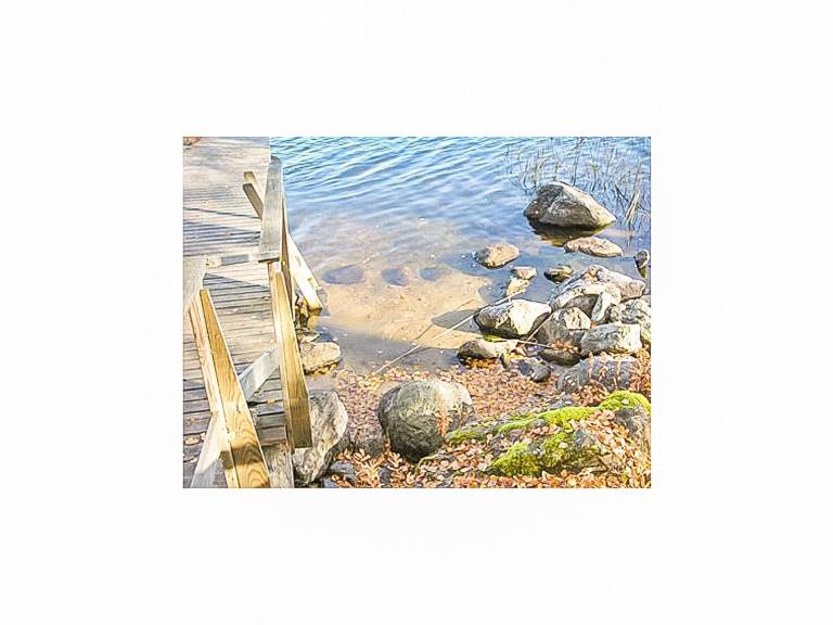 House with sauna | Nature view | Pets are welcome — photo 4