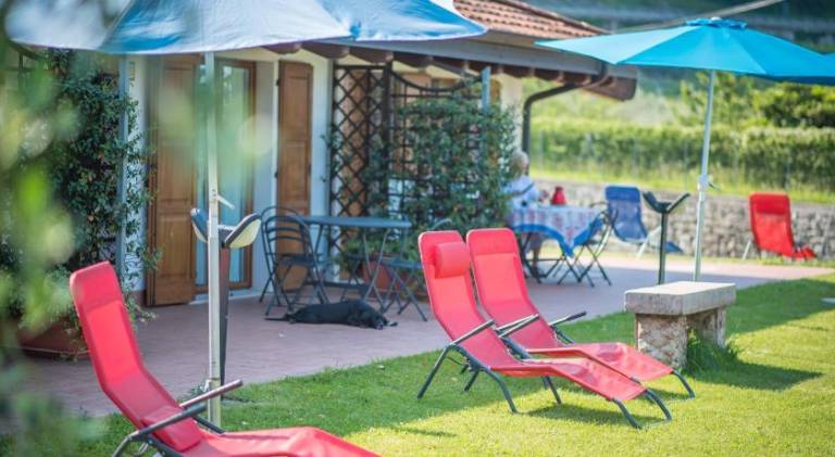 Farm with terrace, pool & yard in Arco