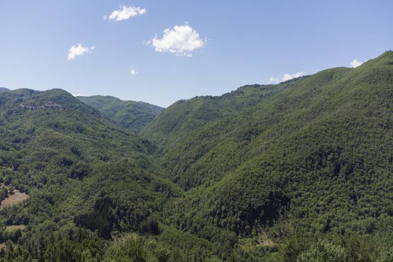 foto15