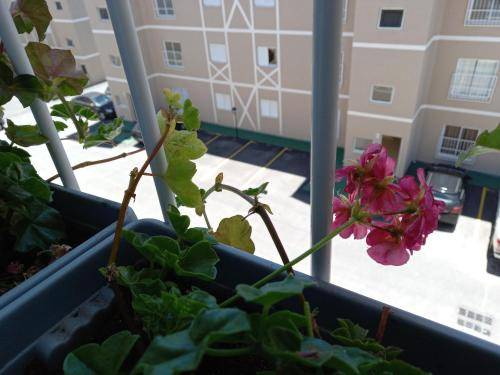 foto6