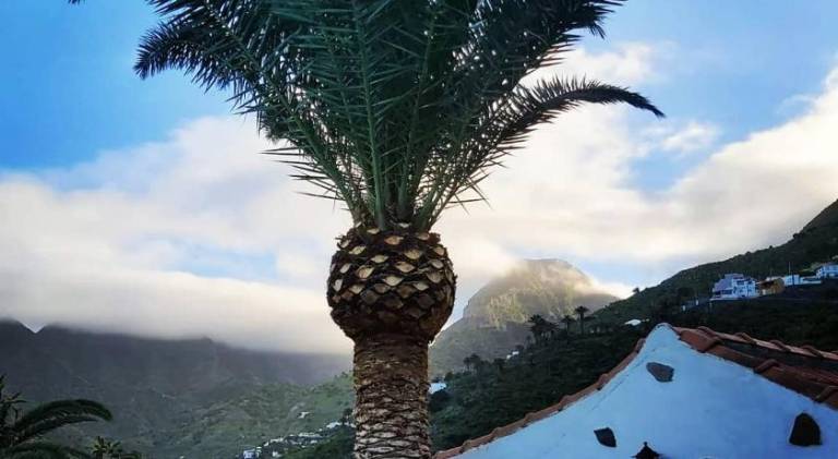 Chalet Hermigua