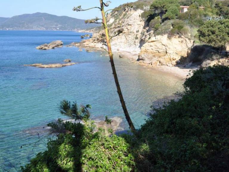 foto17