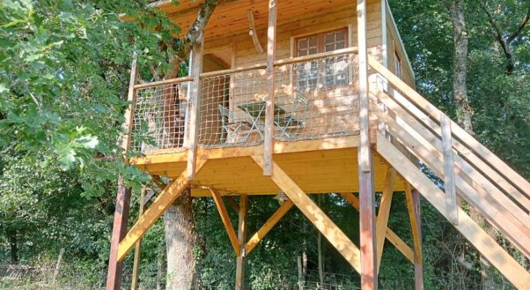 Cabane perchee et le chene in Chinon