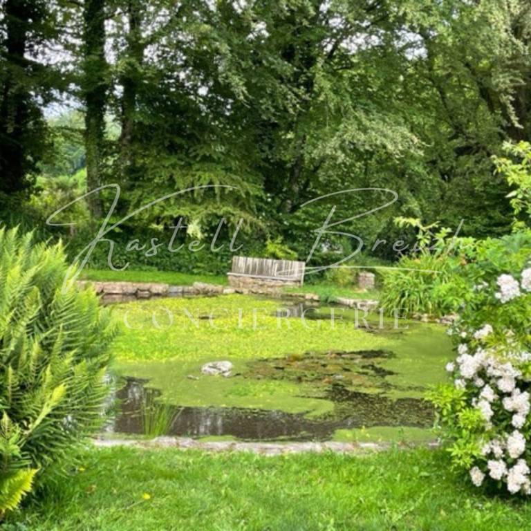 foto16