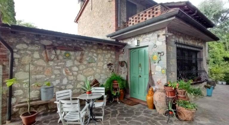 Tra grilli e cicale — photo 3