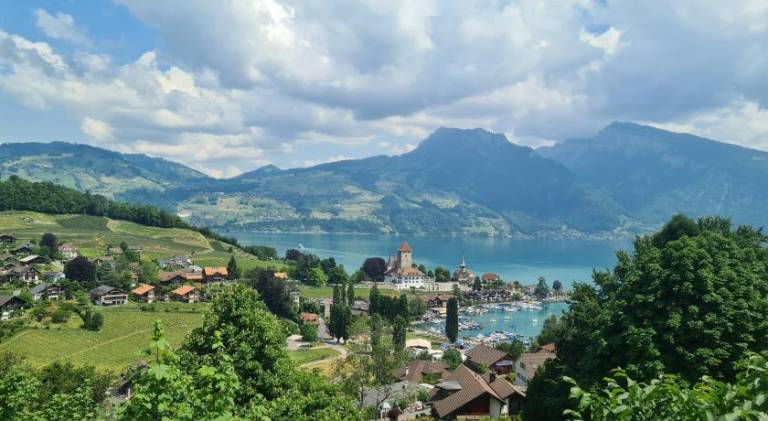 Holiday apartment with yard & terrace in Spiez