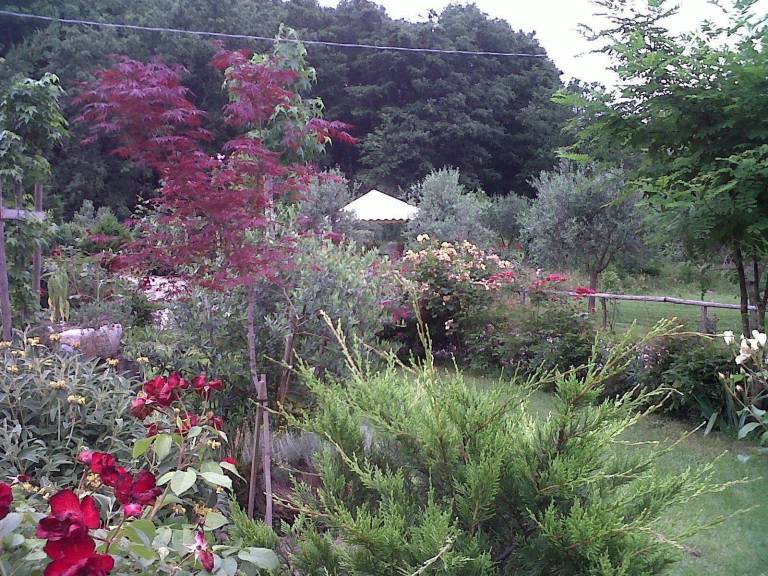 foto24