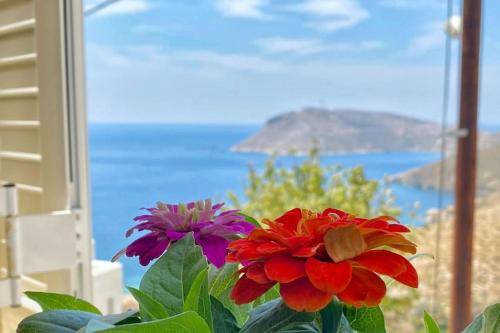 Maison de vacances Kalimnos