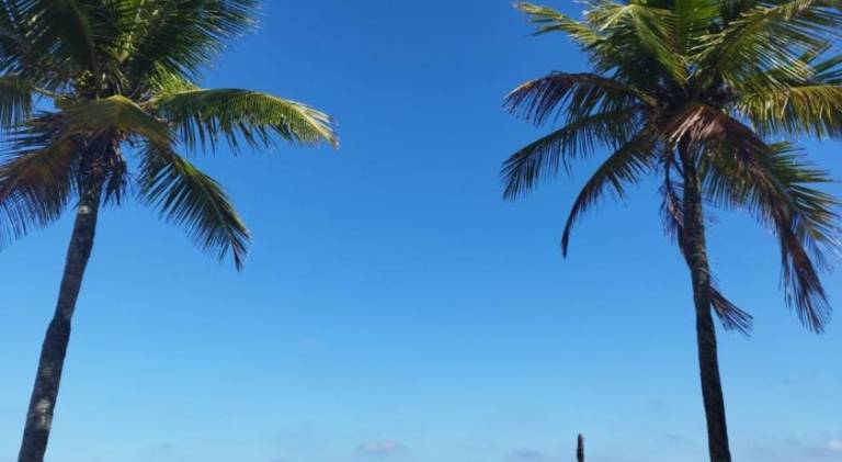 Beautiful rental apartment | Next to the beach | Pets are welcome — photo 3