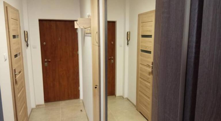Family-oriented apartment | Dogs allowed — photo 5