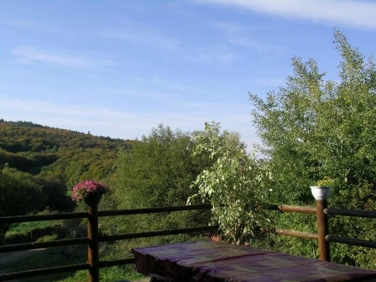 Lovely gite with barbeque, yard & terrace | Pet-friendly — photo 2