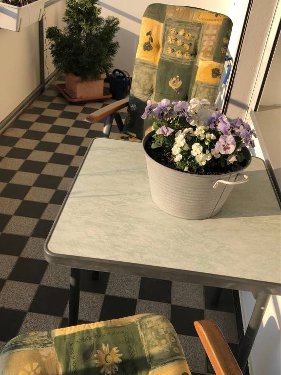 foto5