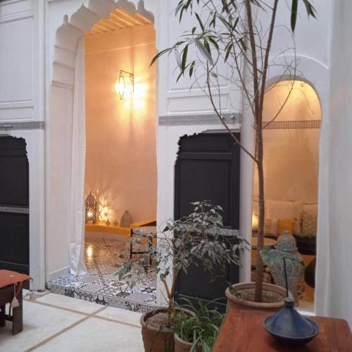 Casa Fez