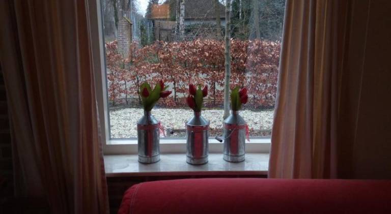 foto5