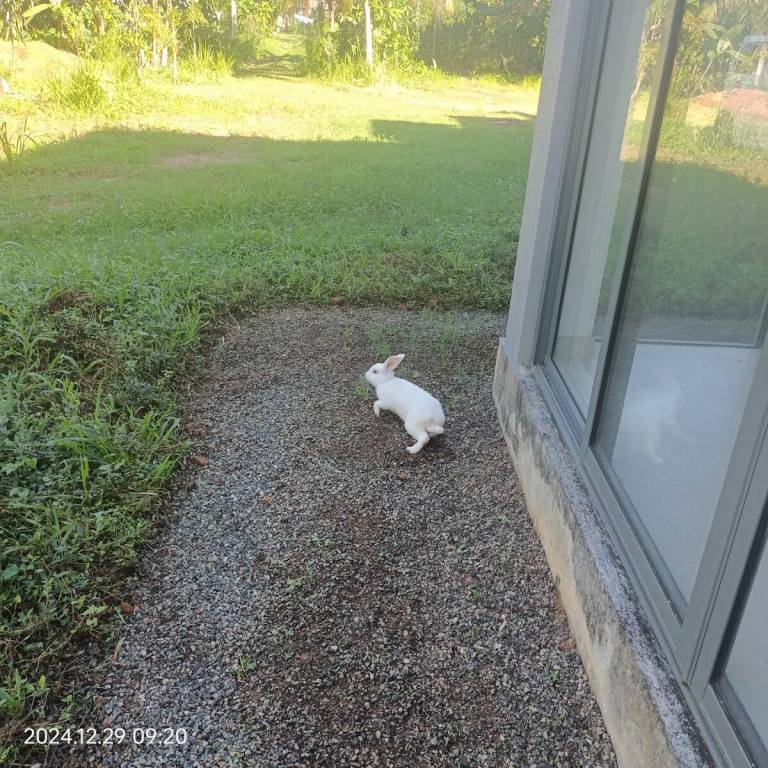 foto47