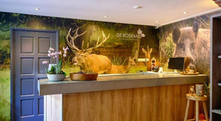 Vakantiepark de Bosrand — photo 3