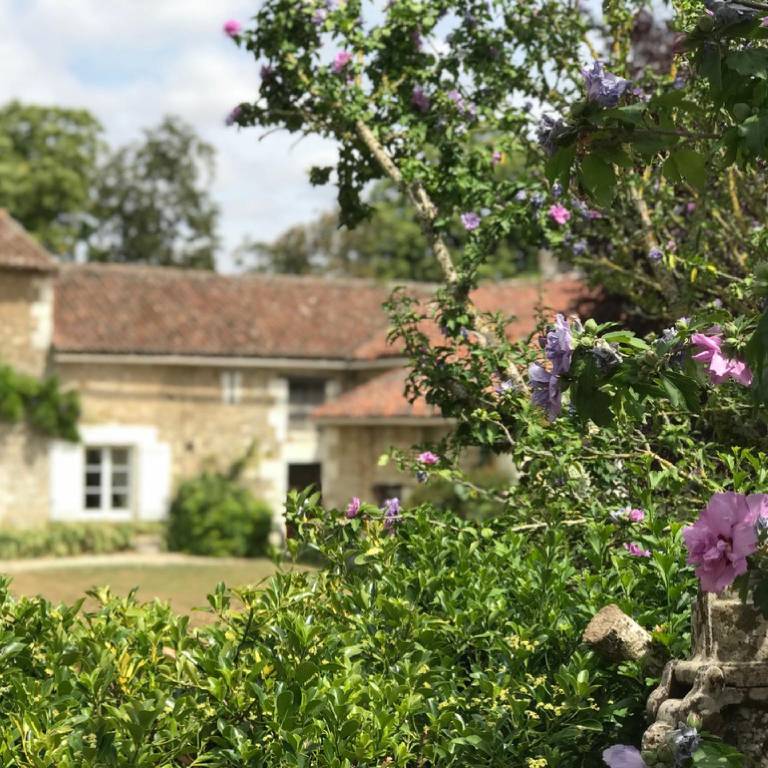 Le Logis de la Pataudière — photo 5