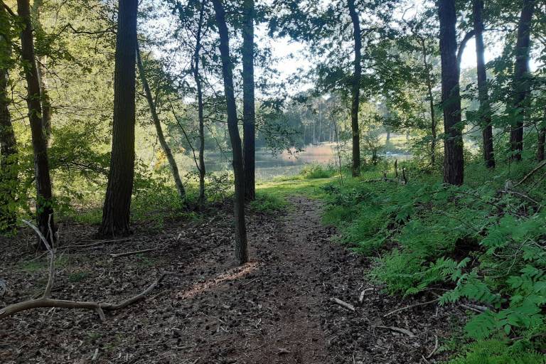 foto48