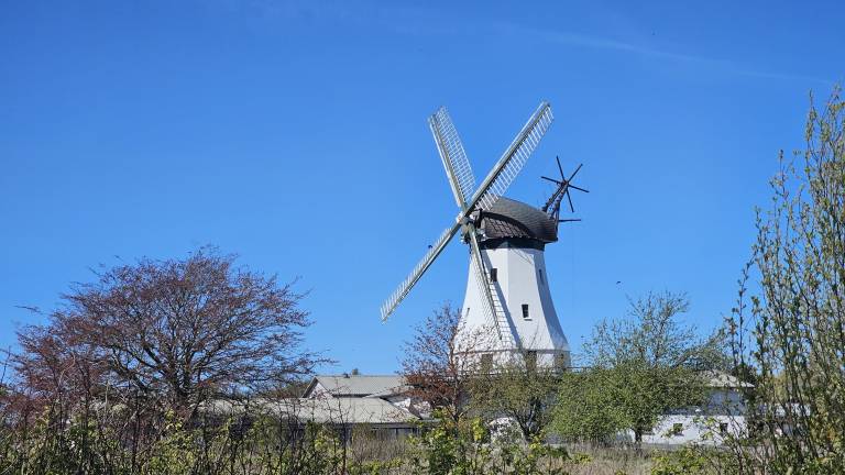 foto17